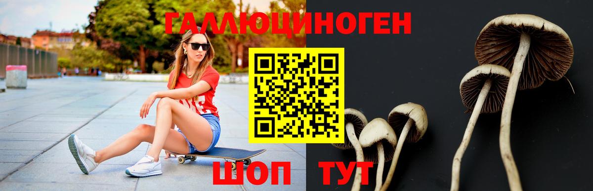 Галлюциногенные грибы мухоморы  цены   Дедовск  Вход с VPN 